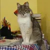 Отзыв от Наталья Евдокимова